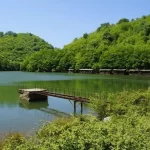 Yalıkavak’ta Doğa ile İç İçe, Blue Zone Felsefesiyle Tasarlanmış Bir Yaşam