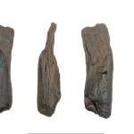 Bilim insanları Yunanistan’daki bir arkeolojik alandan en eski ahşap aletleri çıkardı